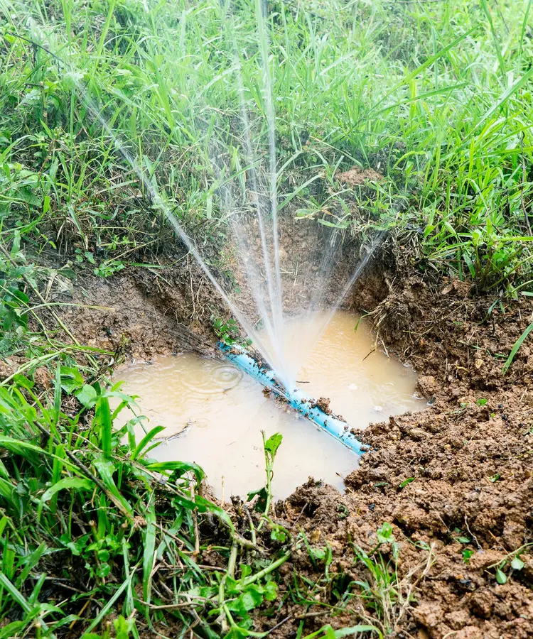 Broken irrigation line spraying water into grass